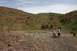 Resize of IMG_4550.JPG